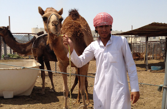 alsharq