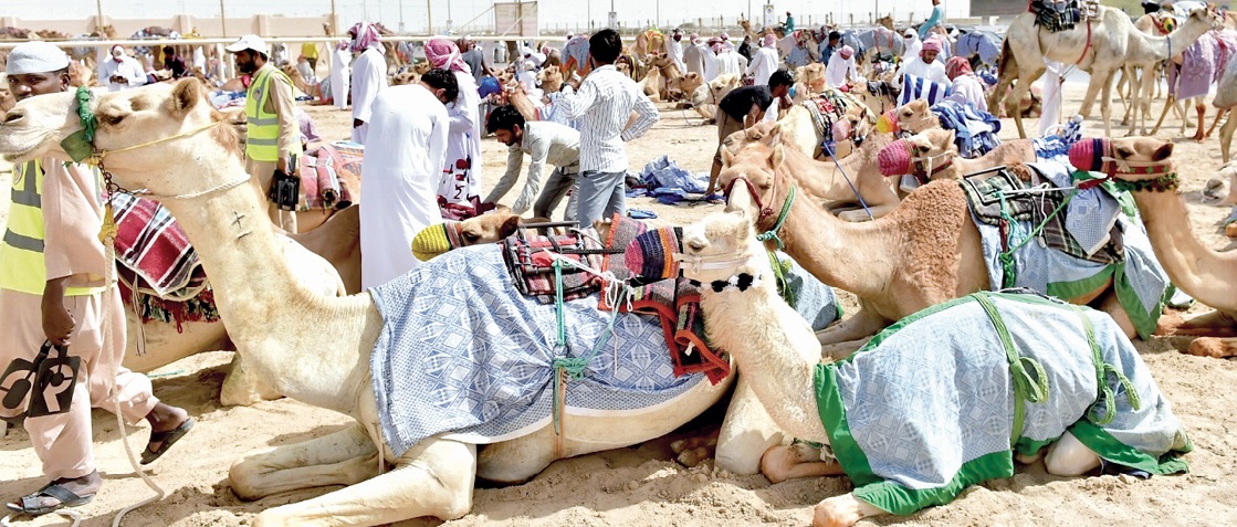 alsharq