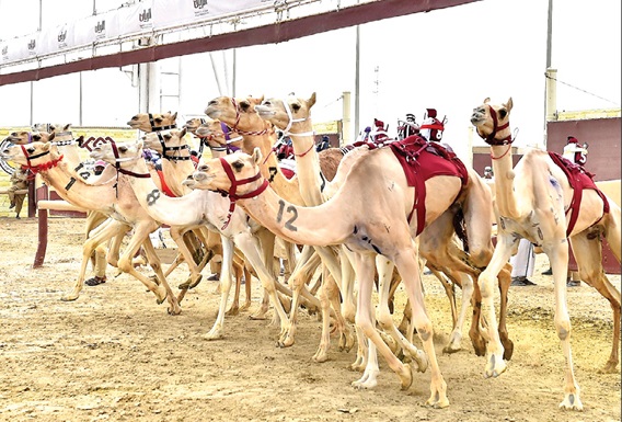 alsharq