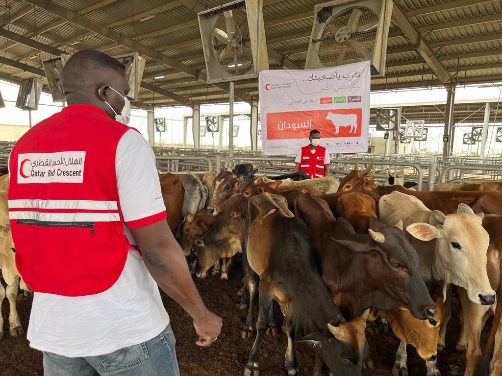 أكثر من 190 ألف مستفيد من حملة الهلال الأحمر القطري "تقرب بأضحيتك ليتواصل الخير"