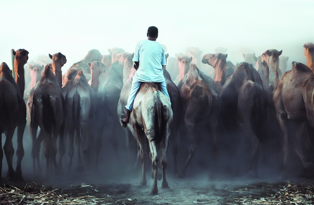 alsharq