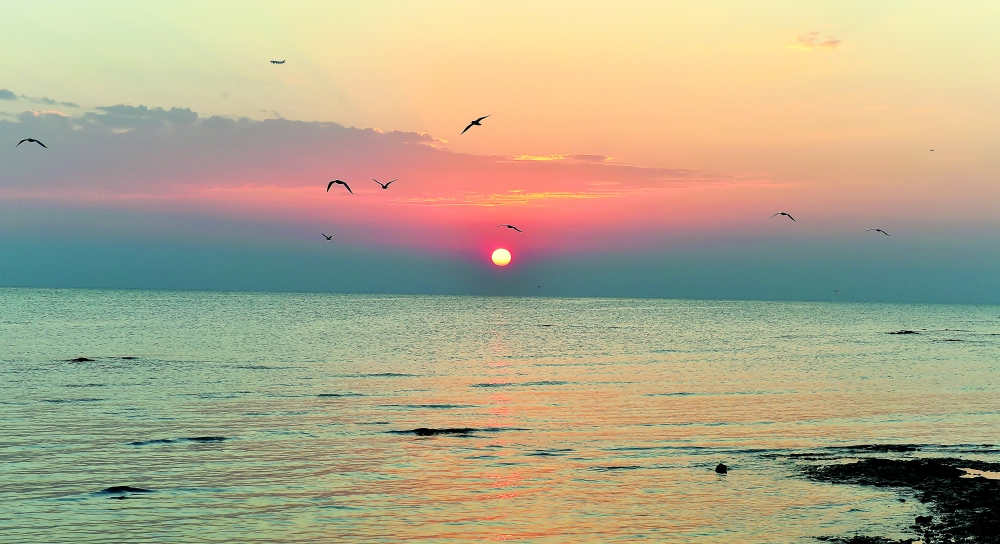 alsharq