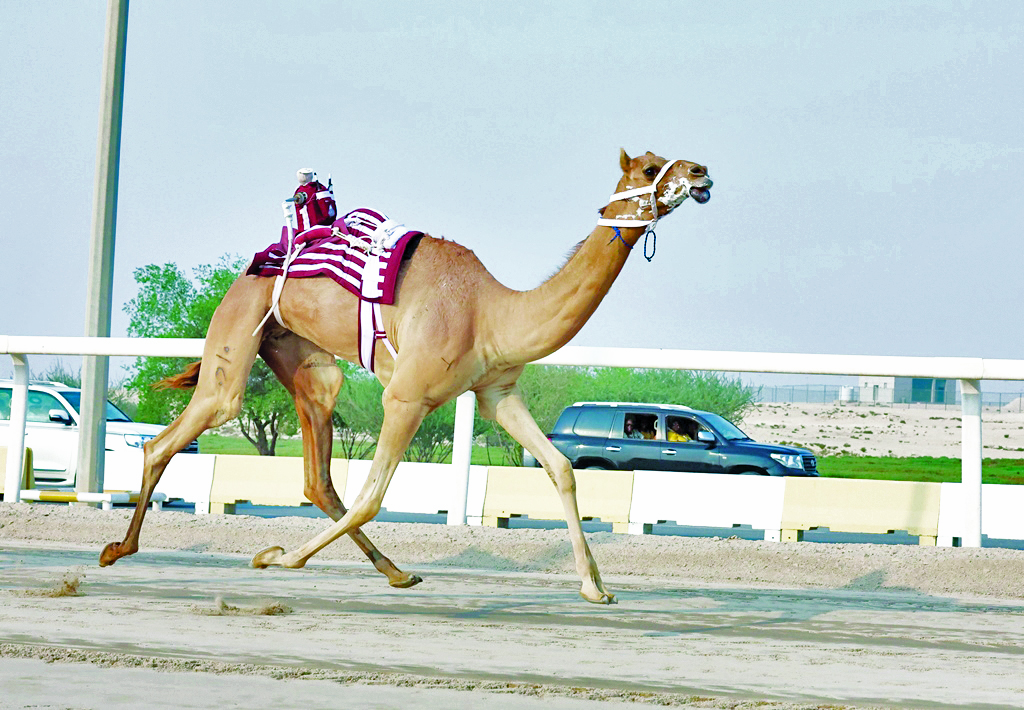 alsharq
