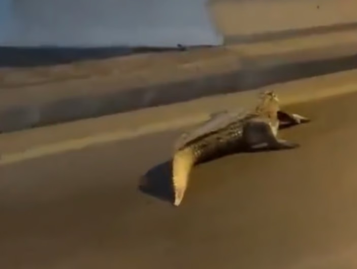 الشرق