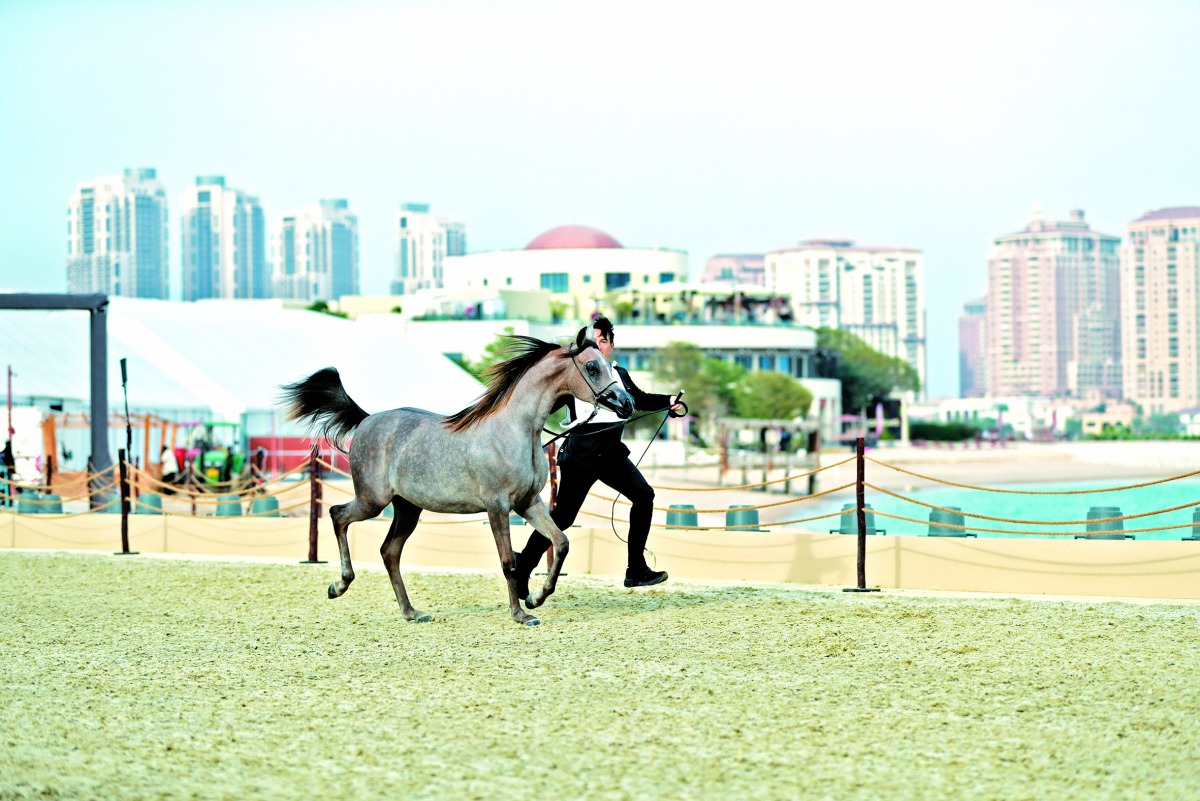 20240205 1707164789 174