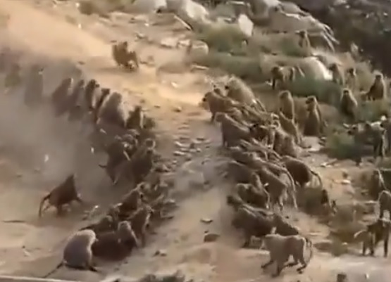 الشرق