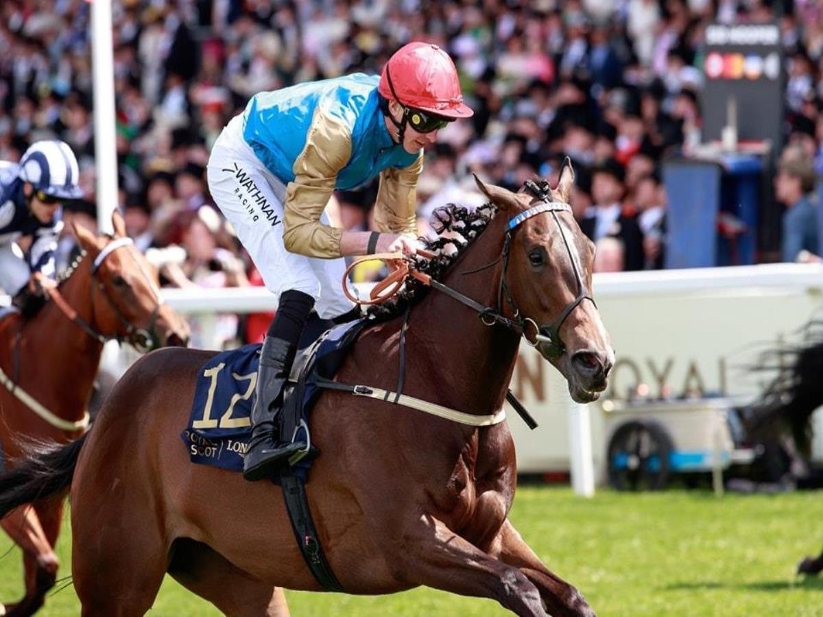 20240620 1718840429 946