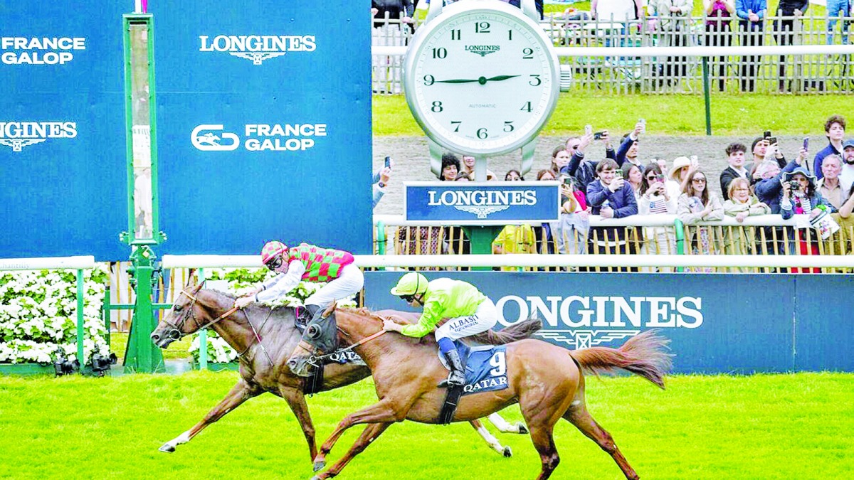 20240626 1719377025 219