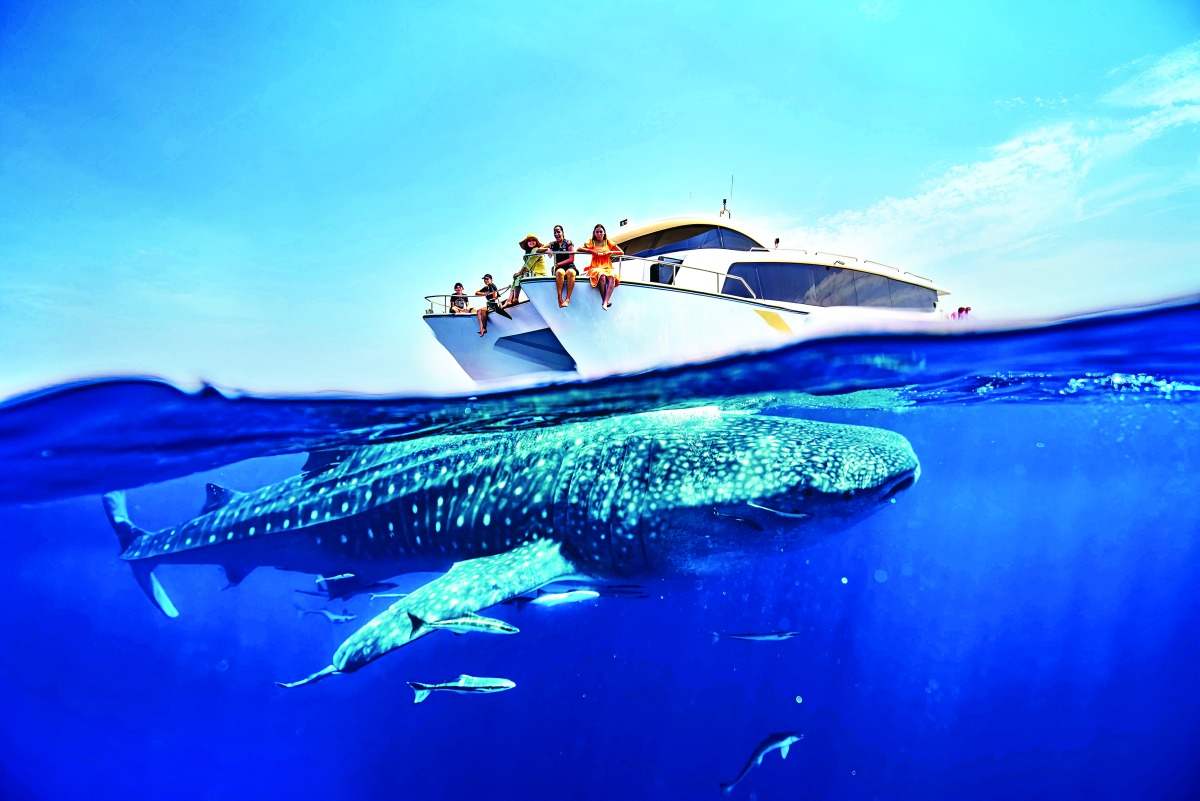 alsharq