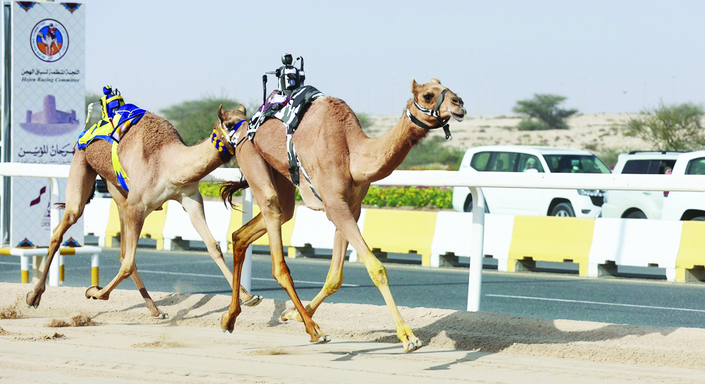alsharq
