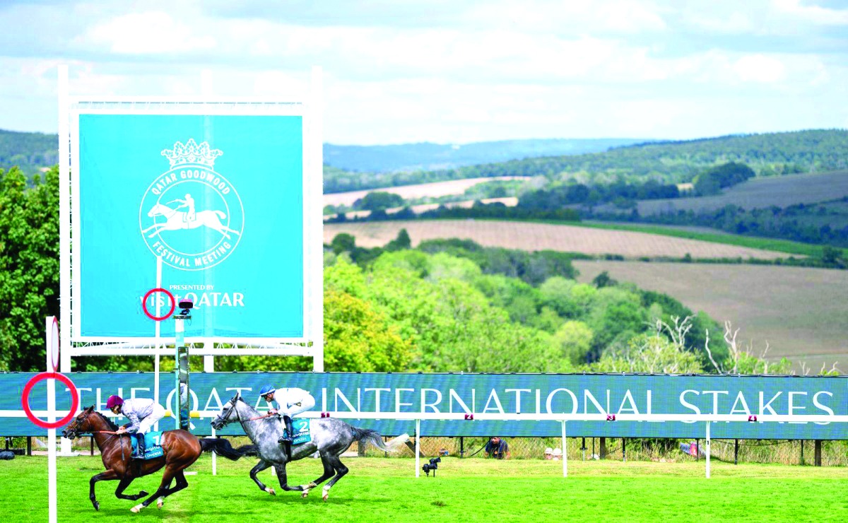 20250731 1753930478 203