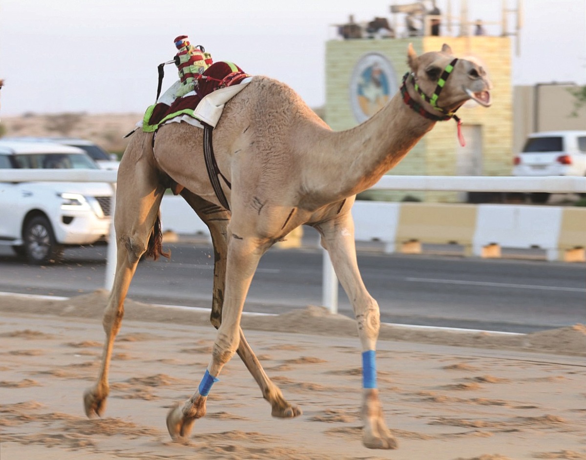 alsharq