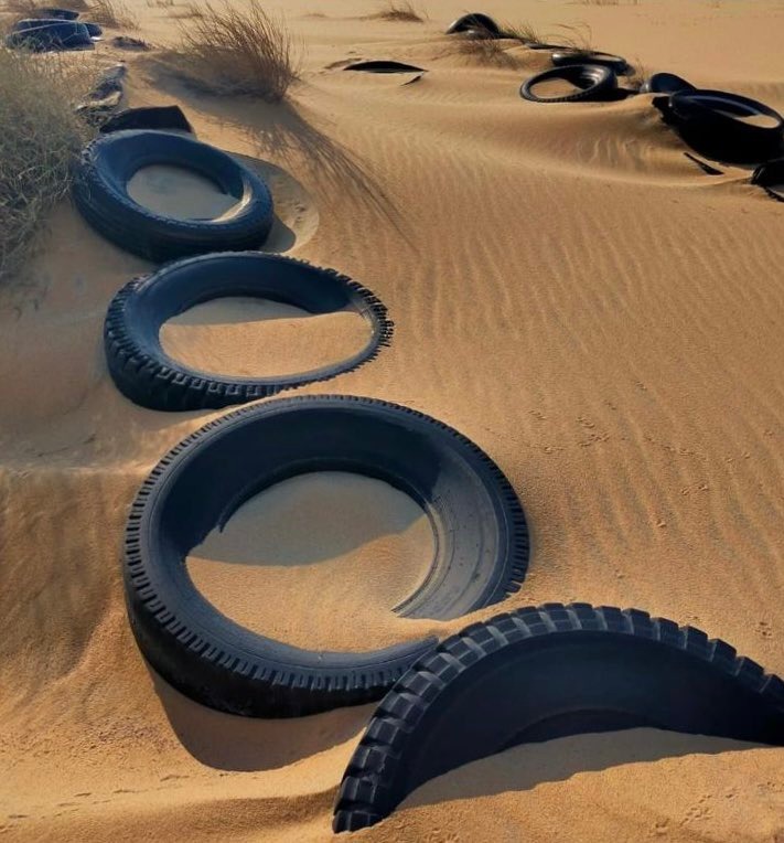 20260129_1769687318-31682.jpg?1769687318