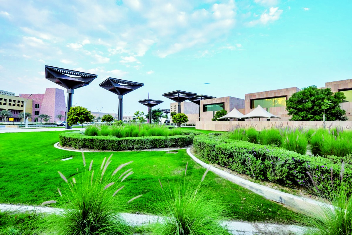 20260206_1770329405-929.jpg?1770329405