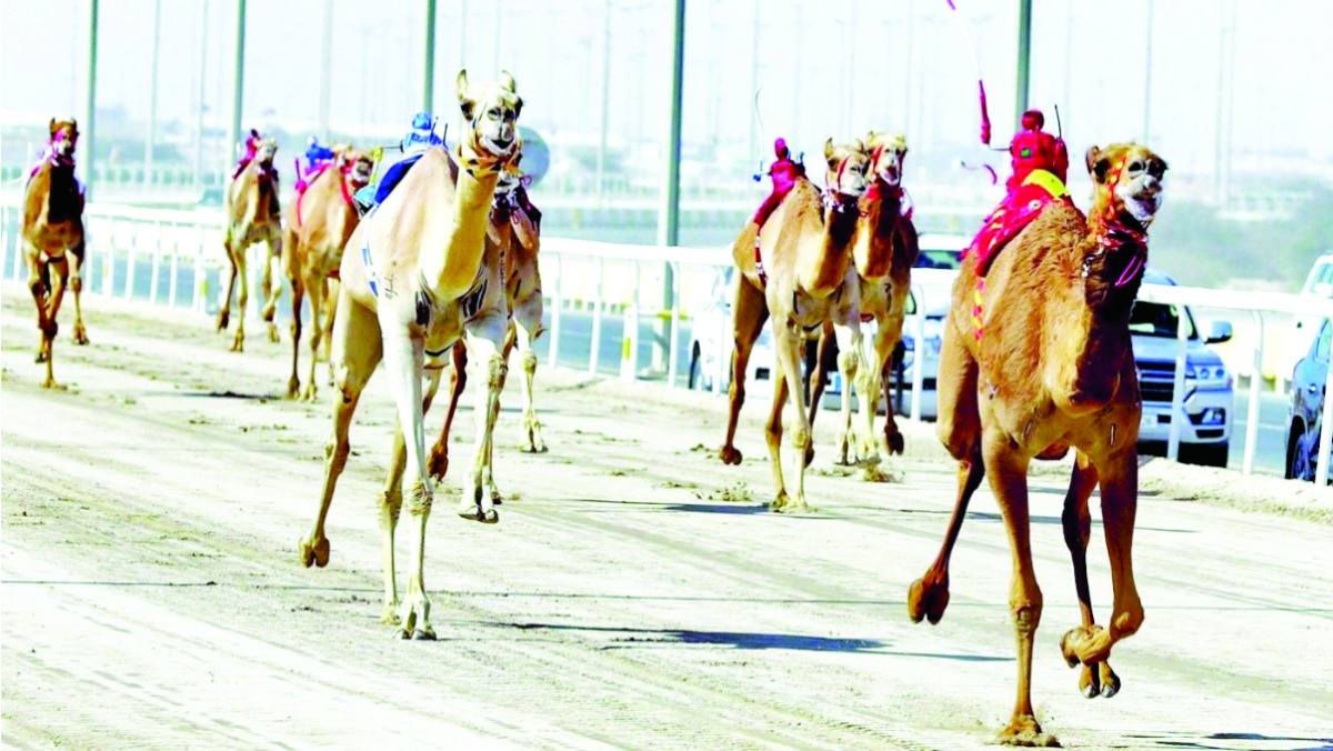 20260212 1770861658 11250