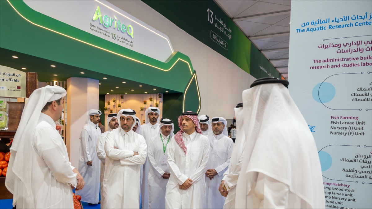 20260216_1771261326-98871.jpg?1771261326