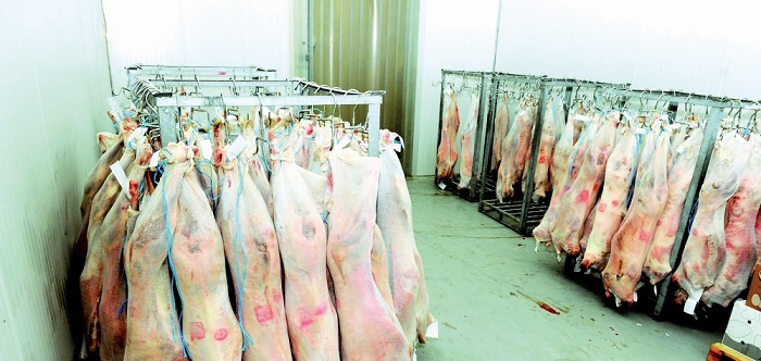 20260315_1773544367-334.jpg?1773544367