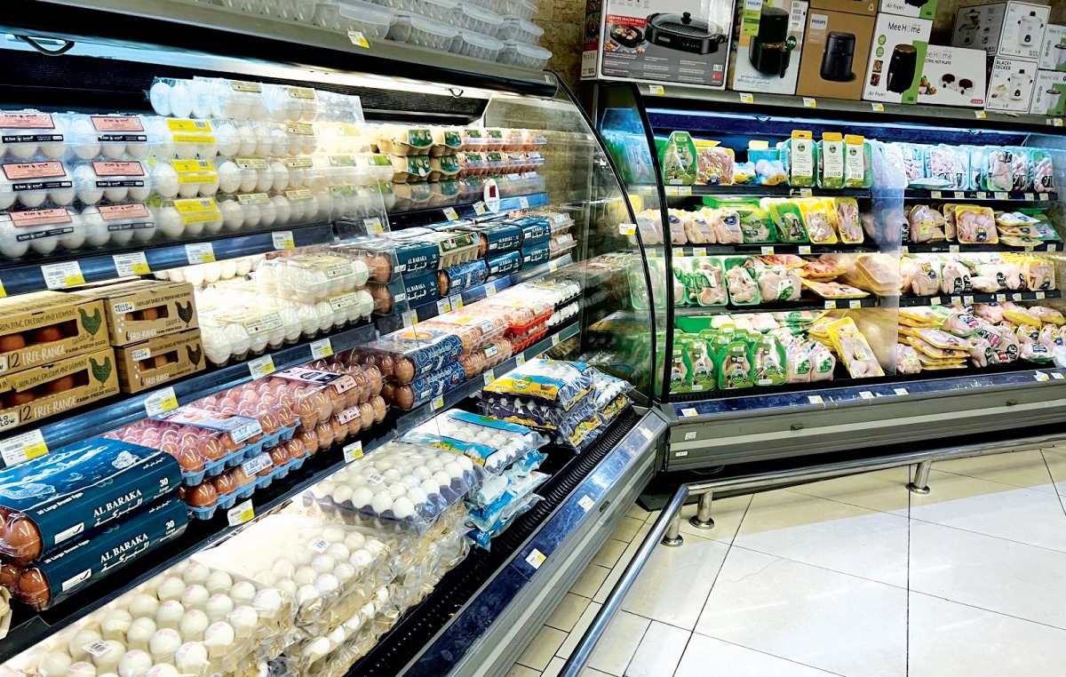 20260316_1773629336-4170.jpg?1773629336