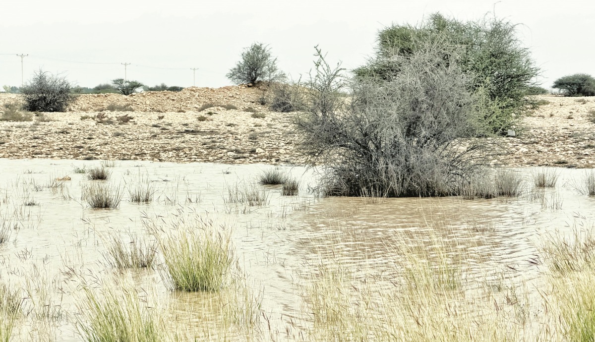 20260330_1774903789-59280.jpg?1774903789