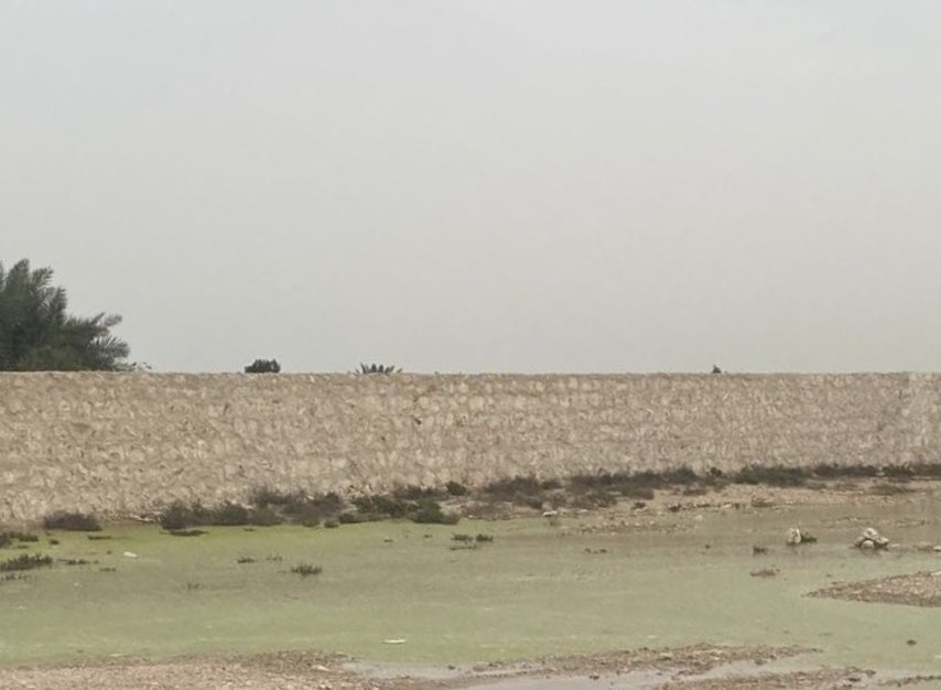 20260401_1775061193-33740.jpg?1775061193