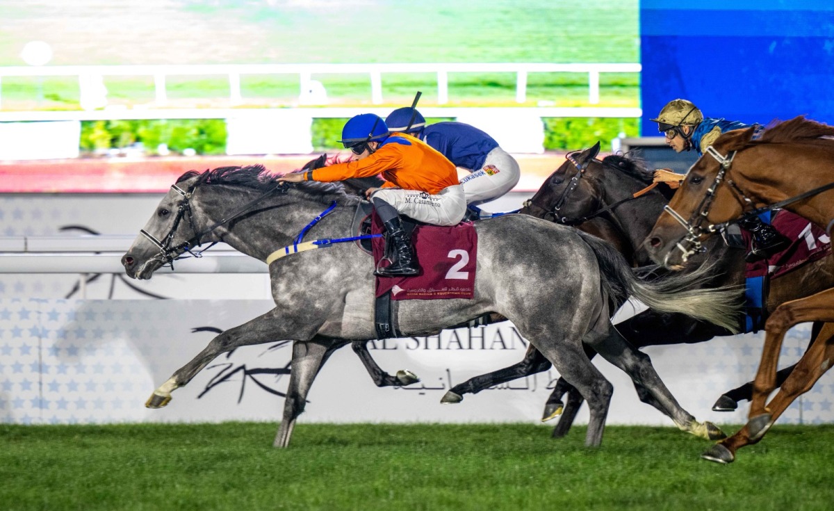 20260403_1775166927-33581.jpg?1775166927