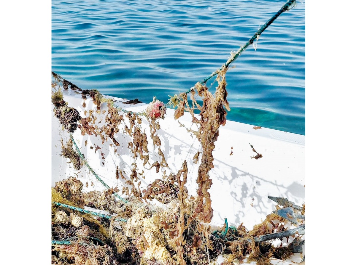 البيئة تزيل أدوات صيد مهملة من فشت شويمسة