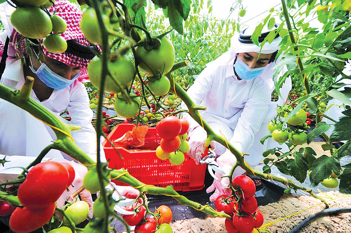 البلدية تضع خطة لضمان استقرار الغذاء