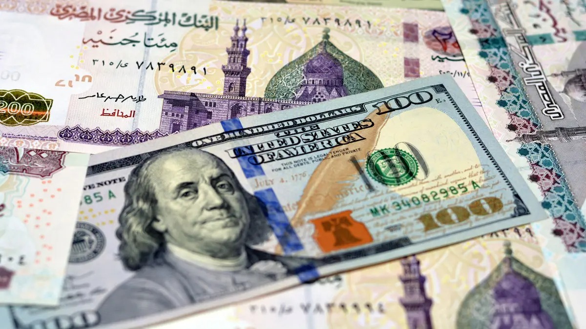 20260803 1785763302 203 الرئيسية